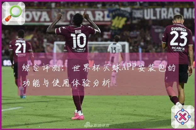 综合评测：世界杯买球APP安装包的功能与使用体验分析