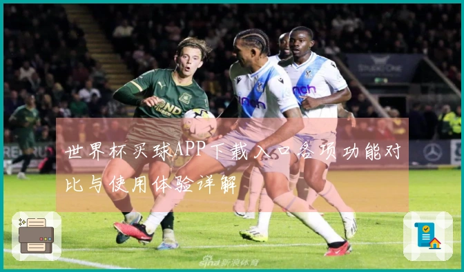 世界杯买球APP下载入口各项功能对比与使用体验详解