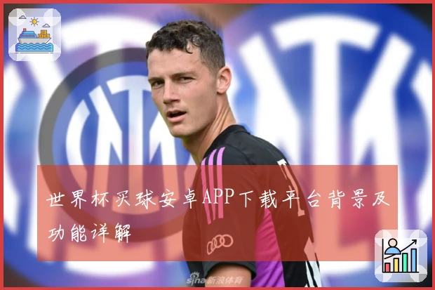 世界杯买球安卓APP下载平台背景及功能详解