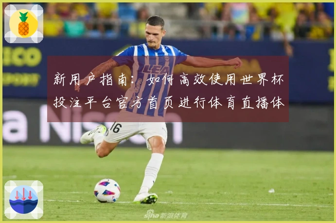 新用户指南：如何高效使用世界杯投注平台官方首页进行体育直播体验