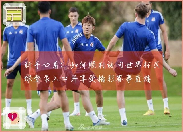 新手必看:如何顺利访问世界杯买球登录入口并享受精彩赛事直播