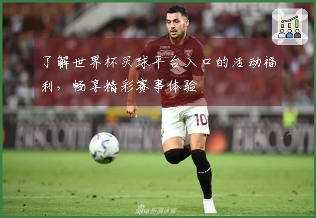 了解世界杯买球平台入口的活动福利，畅享精彩赛事体验