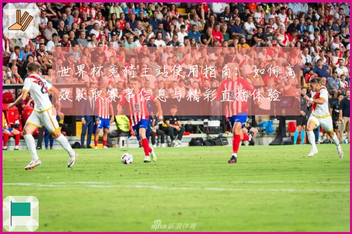 世界杯竞猜主站使用指南：如何高效获取赛事信息与精彩直播体验