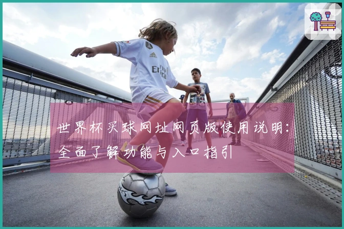 世界杯买球网址网页版使用说明：全面了解功能与入口指引