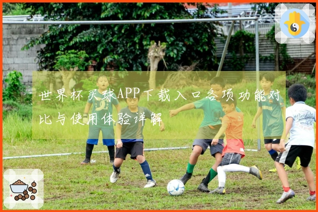 世界杯买球APP下载入口各项功能对比与使用体验详解