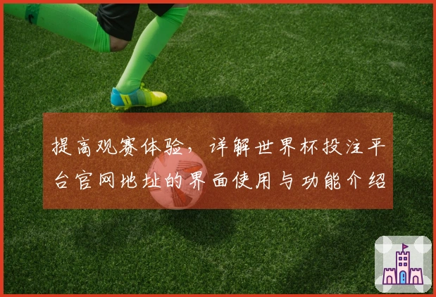 提高观赛体验，详解世界杯投注平台官网地址的界面使用与功能介绍